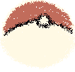 poke ball